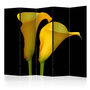 Voir la diapositive 1 : Paris Prix Paravent 5 Volets  Two Yellow Calla Flowers  172x225cm