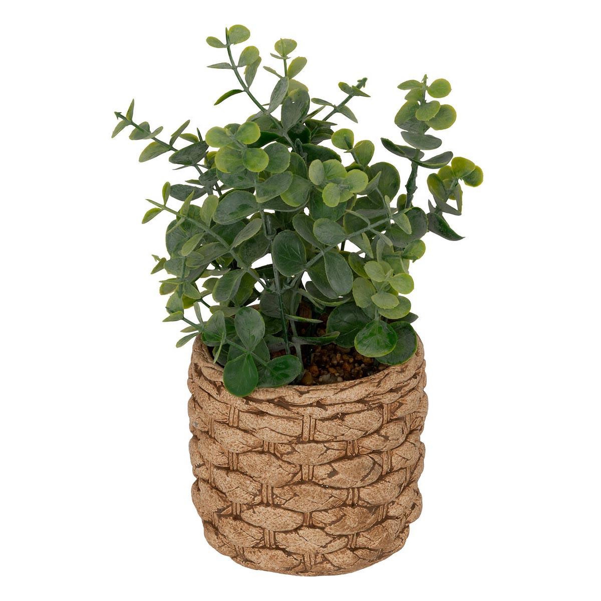 ATMOSPHERA Eucalyptus artificiel en pot  jaye  27cm vert