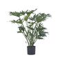 Voir la diapositive 1 : PLANT IN A BOX Philodendron artificiel 'Selloum' - Hauteur 65cm
