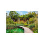 Voir la diapositive 2 : Paris Prix Papier Peint  Green Oasis