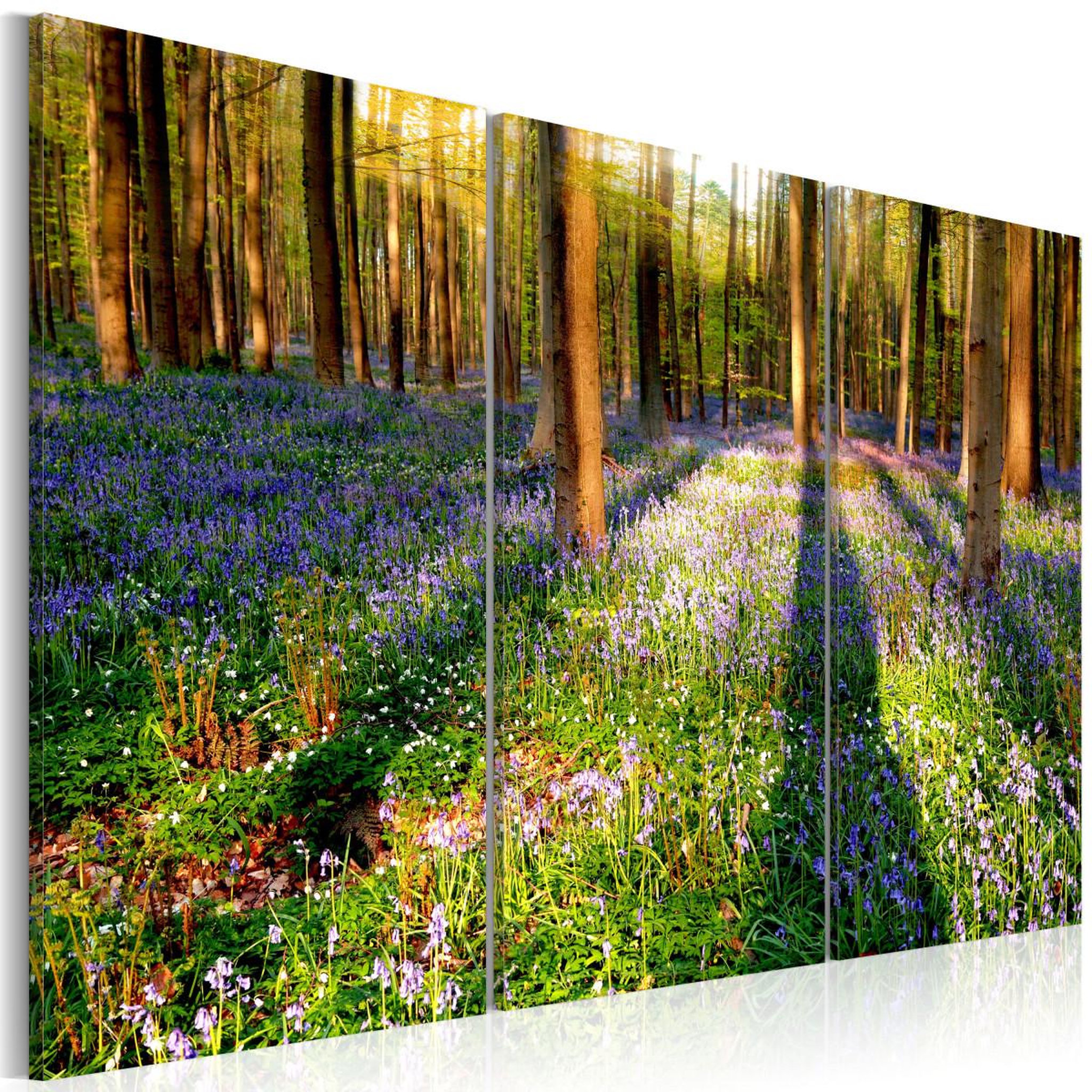 Voir la diapositive 1 : Paris Prix Tableau imprimé  spring forest