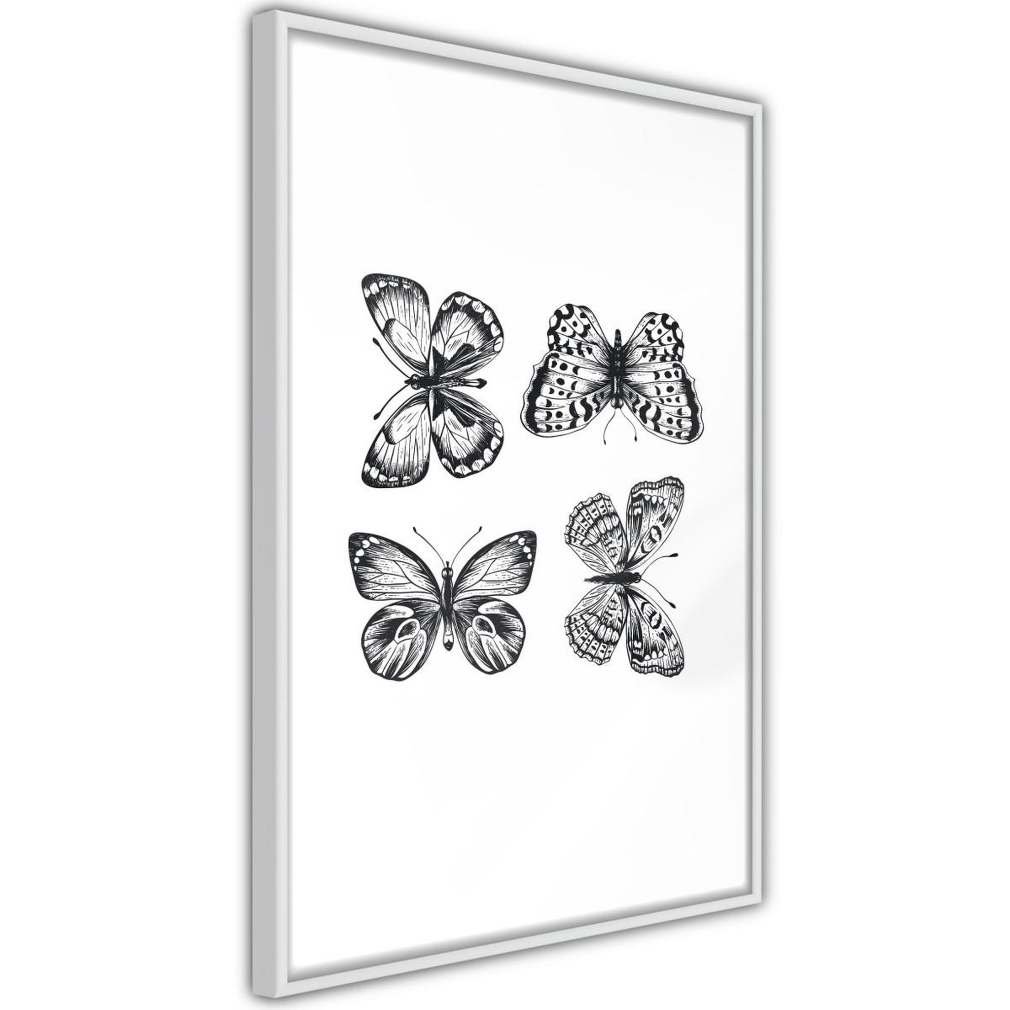 Paris Prix Affiche Murale Encadrée  Butterfly Collection IV