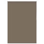 Voir la diapositive 2 : VIDAXL Store enrouleur occultant cafe 95x150cm largeur du tissu 90,7cm