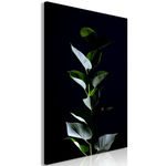 Paris Prix Tableau Imprimé  In the Moonlight. Coloris disponibles : Multicolore