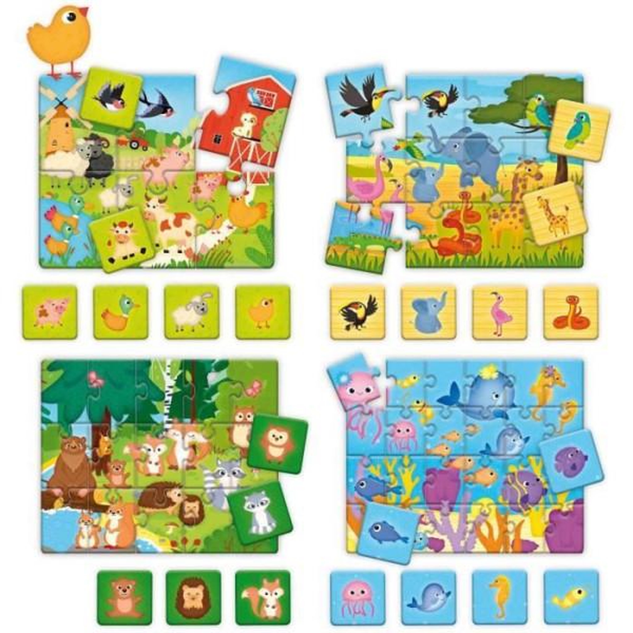 Voir la diapositive 2 : LISCIANI GIOCHI Jeu d'Association - CAROTINA BABY - Découverte des animaux