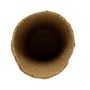 Voir la diapositive 5 :  Godet de cultures rond  8 x 8 x 8,5 cm  16 pcs