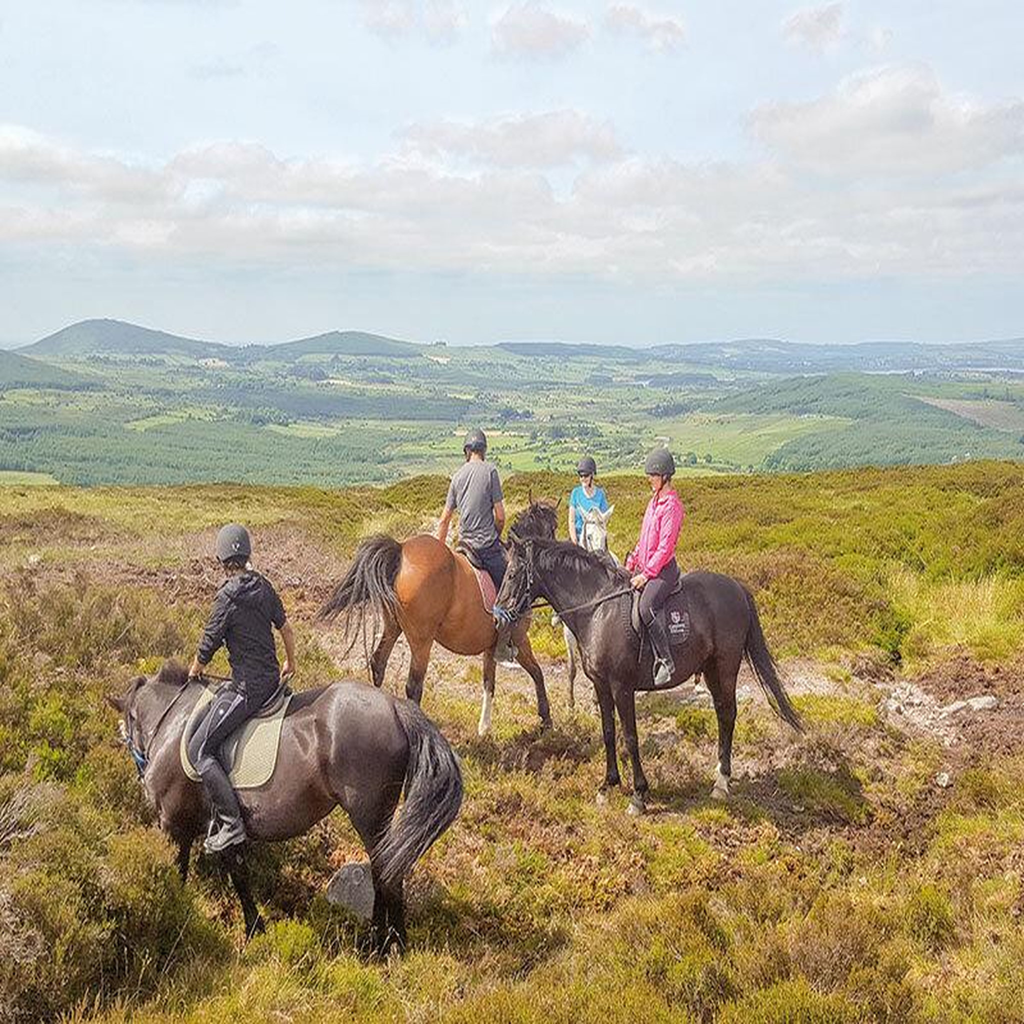 Voir la diapositive 2 : Smartbox Balade à cheval - coffret cadeau sport & aventure