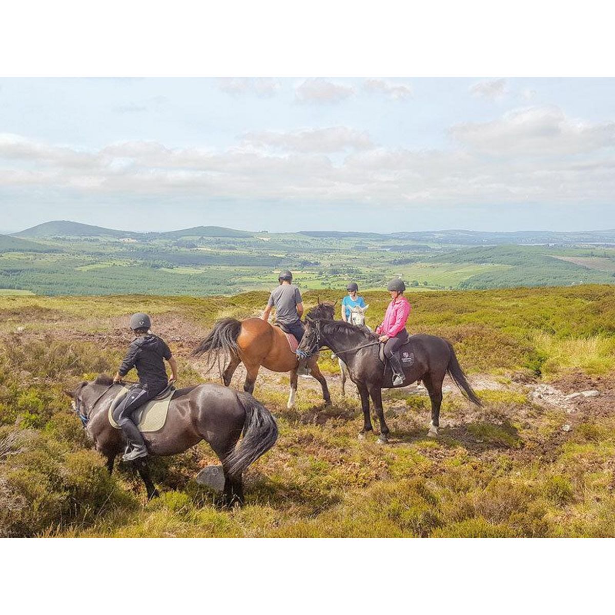 Smartbox Balade à cheval - Coffret Cadeau Sport & Aventure