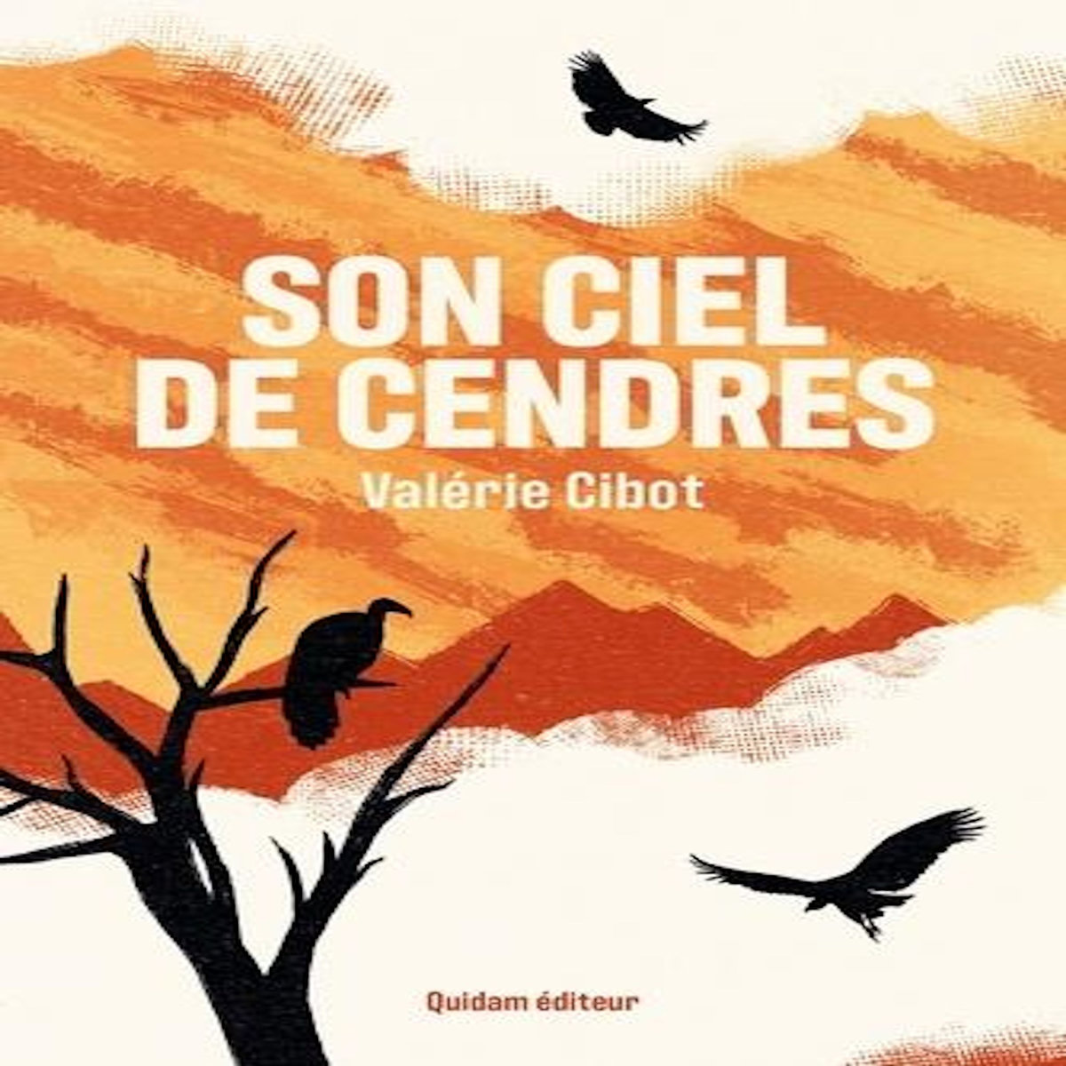 SON CIEL DE CENDRES, Cibot Valérie