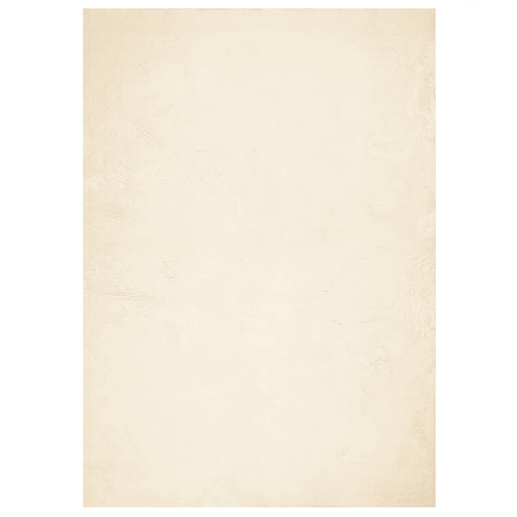 Voir la diapositive 2 : VIDAXL Tapis HUARTE a poils courts doux et lavable creme 140x200 cm
