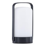 Paris Prix Lampe à Poser d'Extérieur LED  Fern  22cm Noir