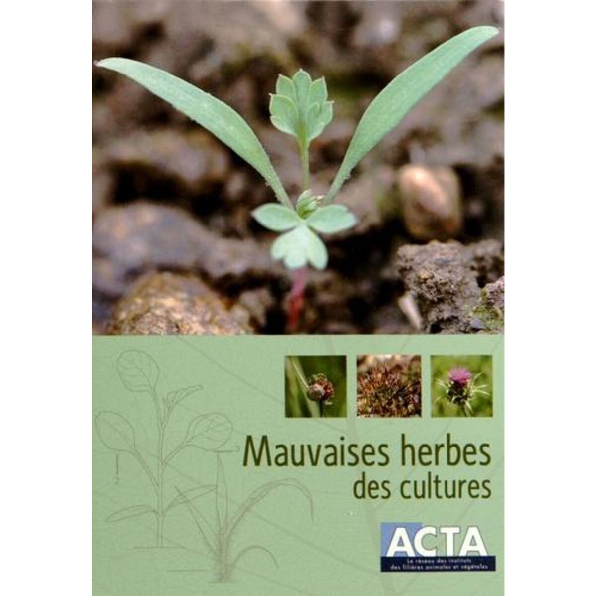 MAUVAISES HERBES DES CULTURES. 4E EDITION, Mamarot Jean