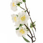 Voir la diapositive 2 : Paris Prix Arbre en Fleurs Déco  Printemps  50cm Blanc