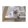 Voir la diapositive 6 : KERBL Arbre a chat 134 cm - LADDER - KERBL - Bois massif - 3 options de repos