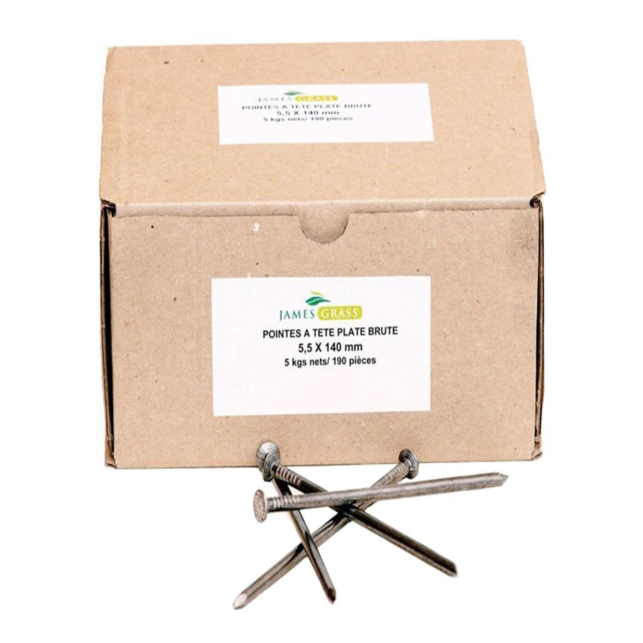 JARDIDECO Boîte de 200 clous pour Gazon synthétique pour 50 m²