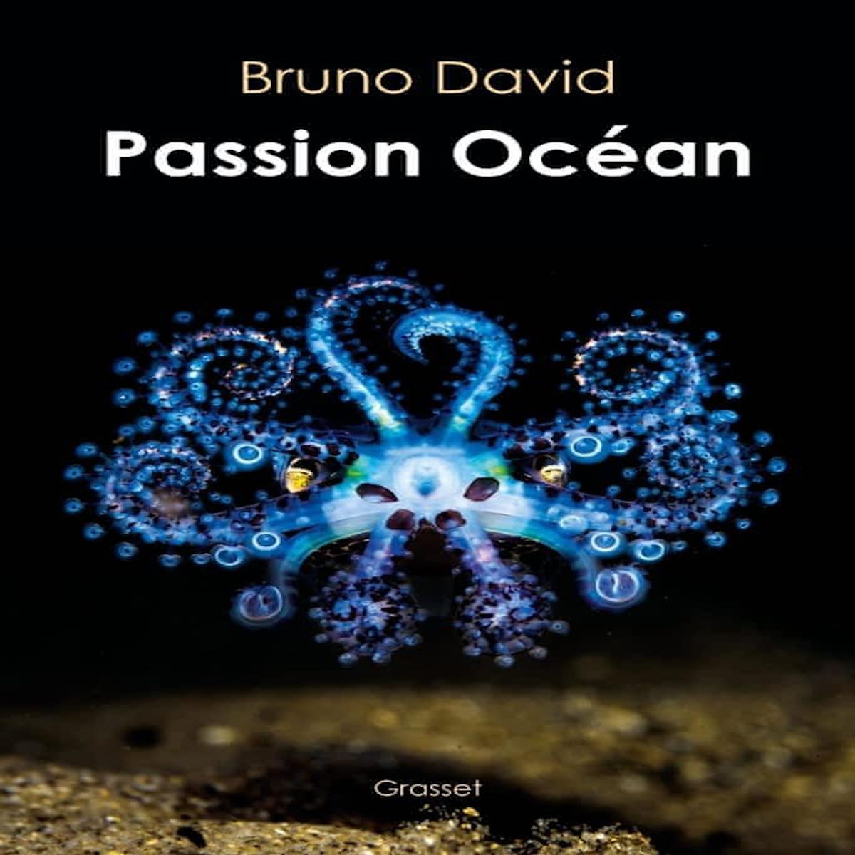 PASSION OCEAN, David Bruno