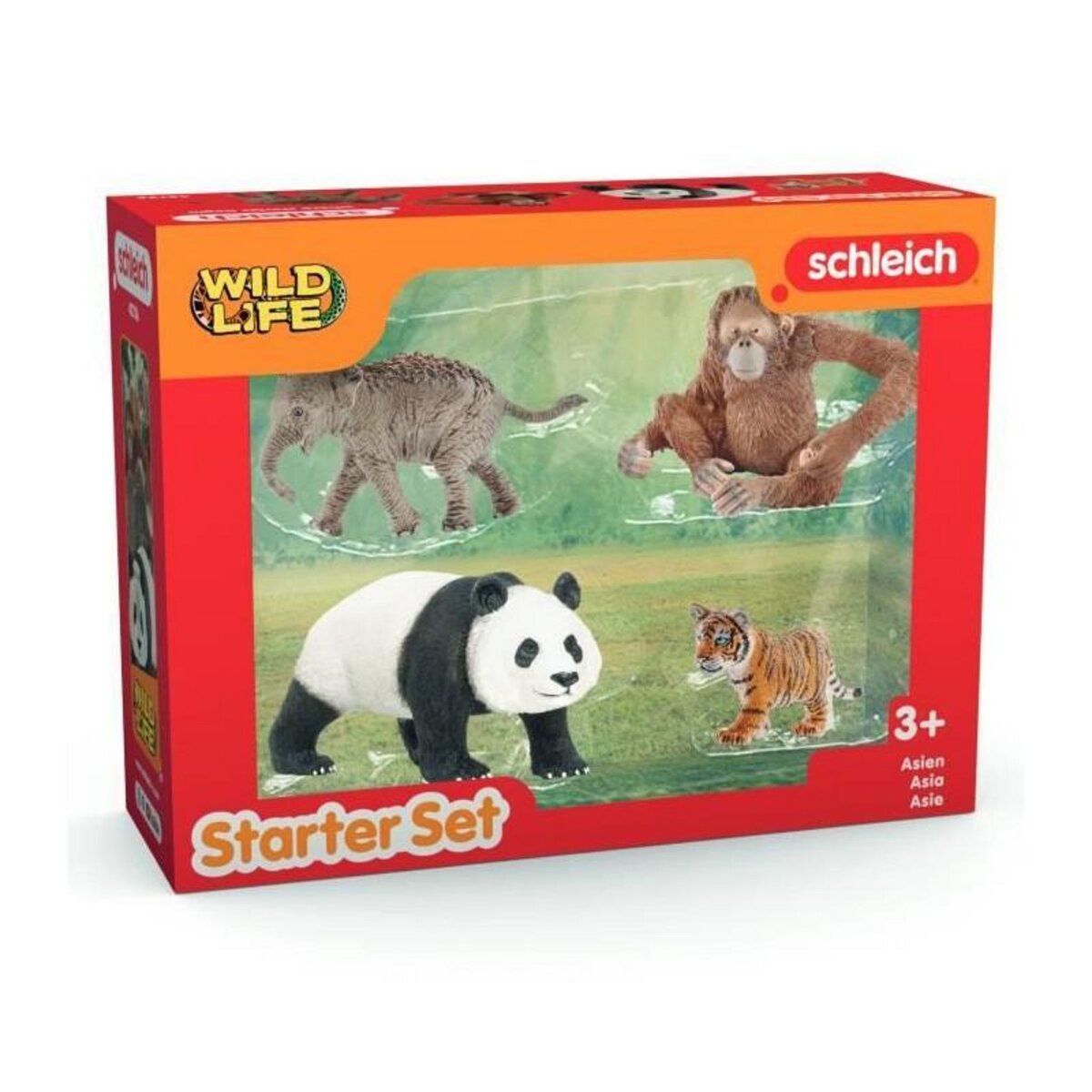 Schleich Set de démarrage d'animaux d'Asie Schleich coloré