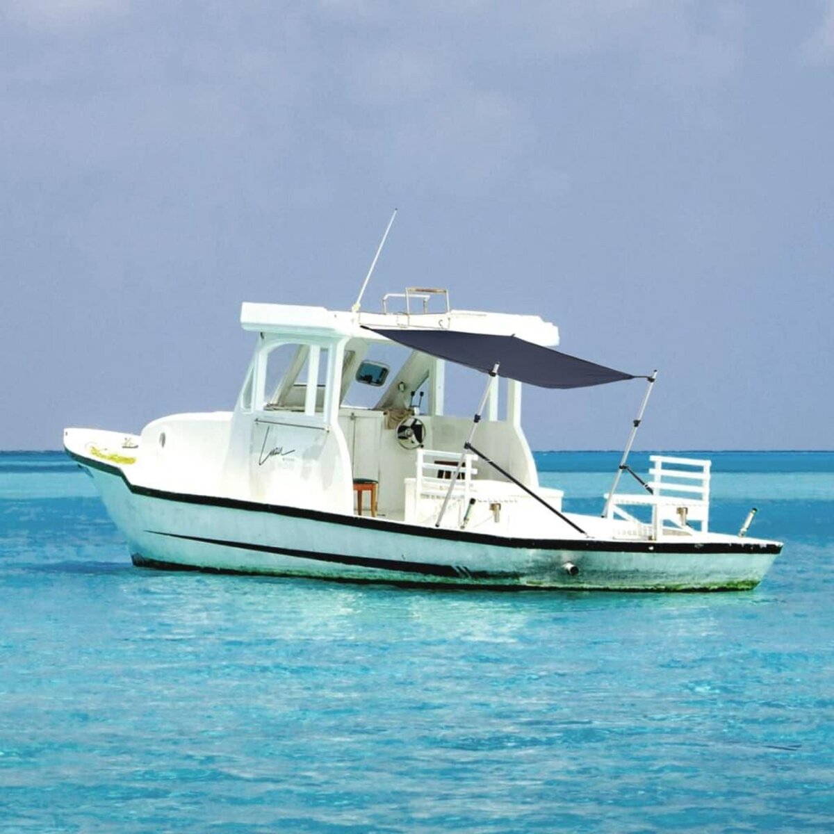 VIDAXL Extension d'ombrage T-Top bleu marine 170x208x(115-183) cm