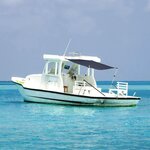 VIDAXL Extension d'ombrage T-Top bleu marine 170x208x(115-183) cm