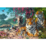 Castorland Puzzle 3000 pièces : Sanctuaire du tigre