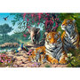 Voir la diapositive 1 : Castorland Puzzle 3000 pièces : Sanctuaire du tigre