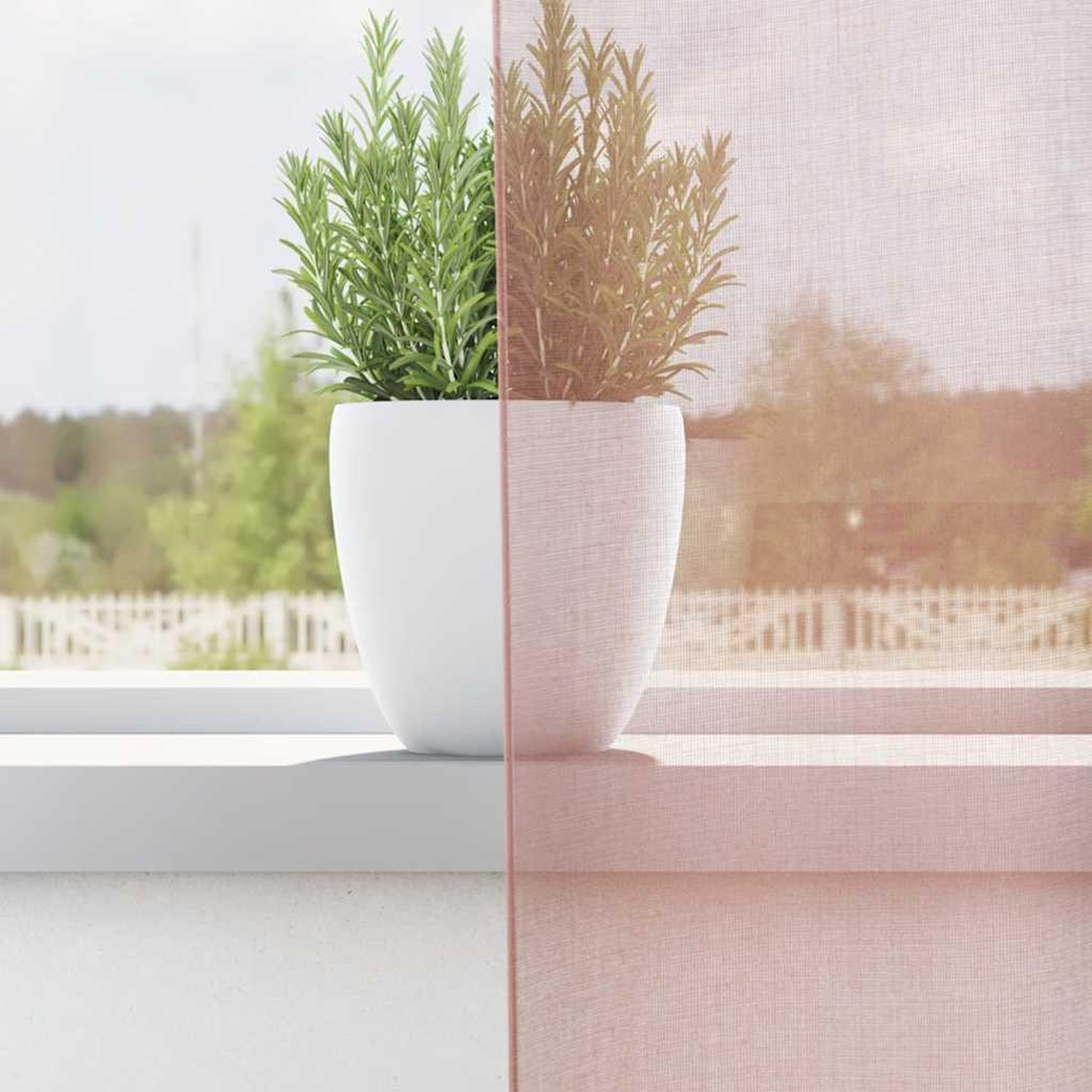 Voir la diapositive 3 : VIDAXL Rideaux en voile avec œillets 2 pcs rose 140x245 cm