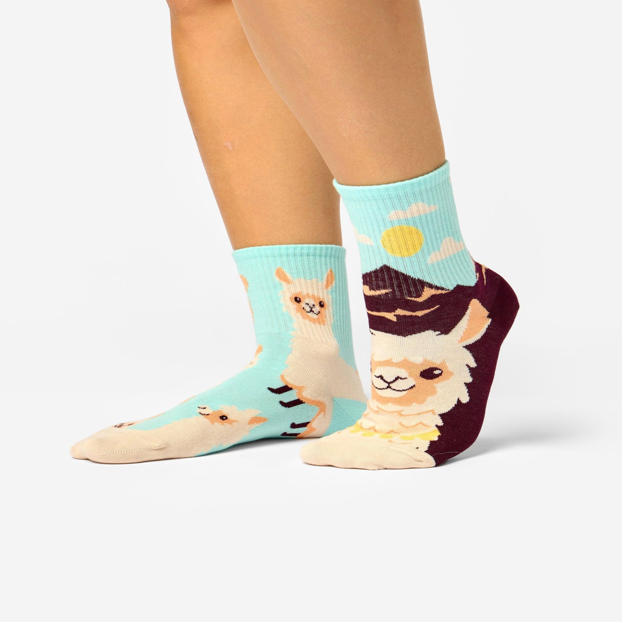 Voir la diapositive 3 : DEDOLES Chaussettes courtes alpaga