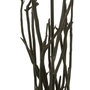 Voir la diapositive 4 : Paris Prix Lampadaire Design en Bois  Branches  170cm Noir