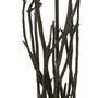 Voir la diapositive 4 : Paris Prix Lampadaire Design en Bois  Branches  170cm Noir