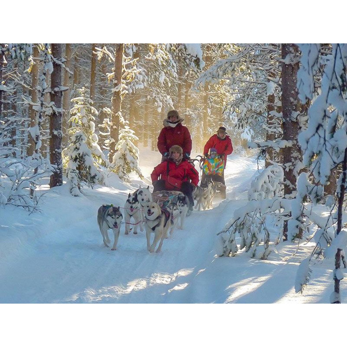 Smartbox 3 jours en Suède : observation des aurores boréales et balade en chiens de traîneau pour 2 personnes - Coffret Cadeau Séjour