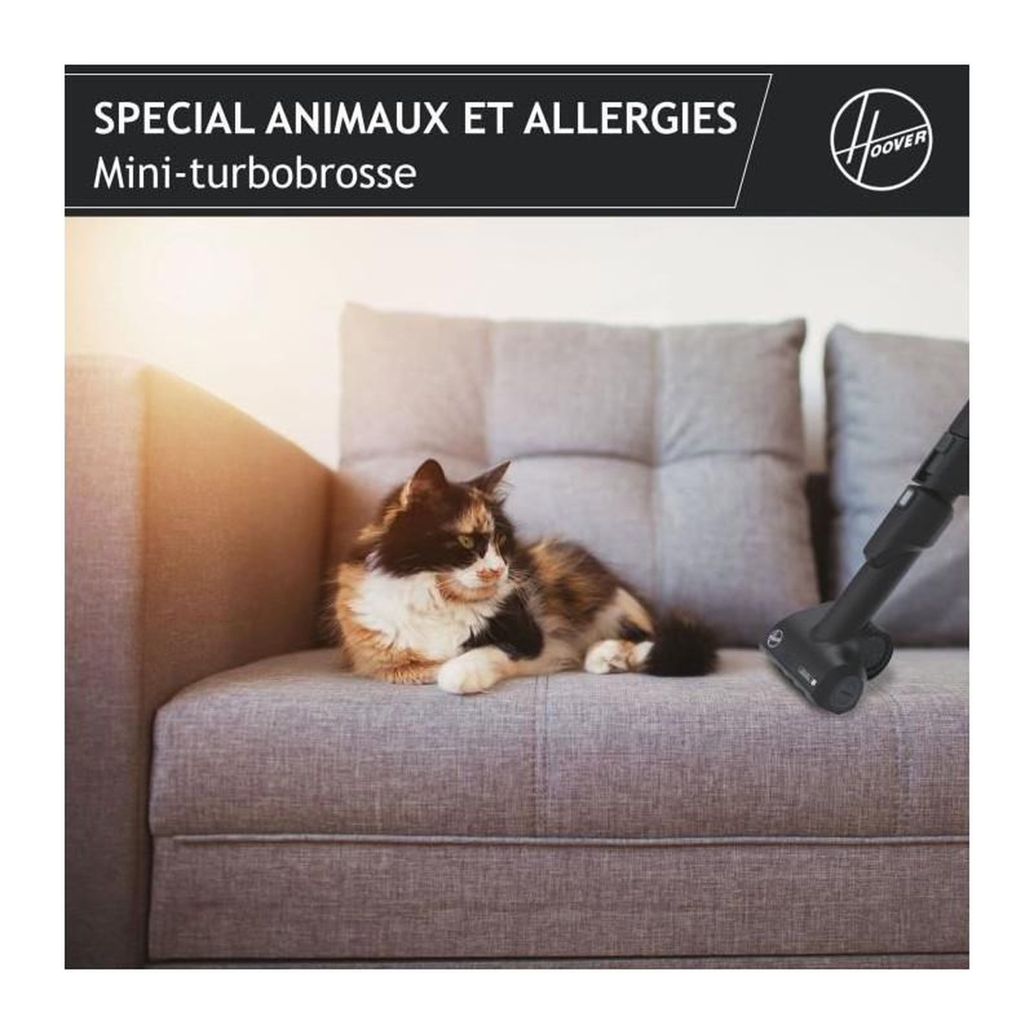Voir la diapositive 4 : HOOVER HOOVER HE530ALG Aspirateur traîneau avec sac, Puissant 850 W, Silencieux 69db, Grande Capacité 3,5L Special Allergie & Poils A