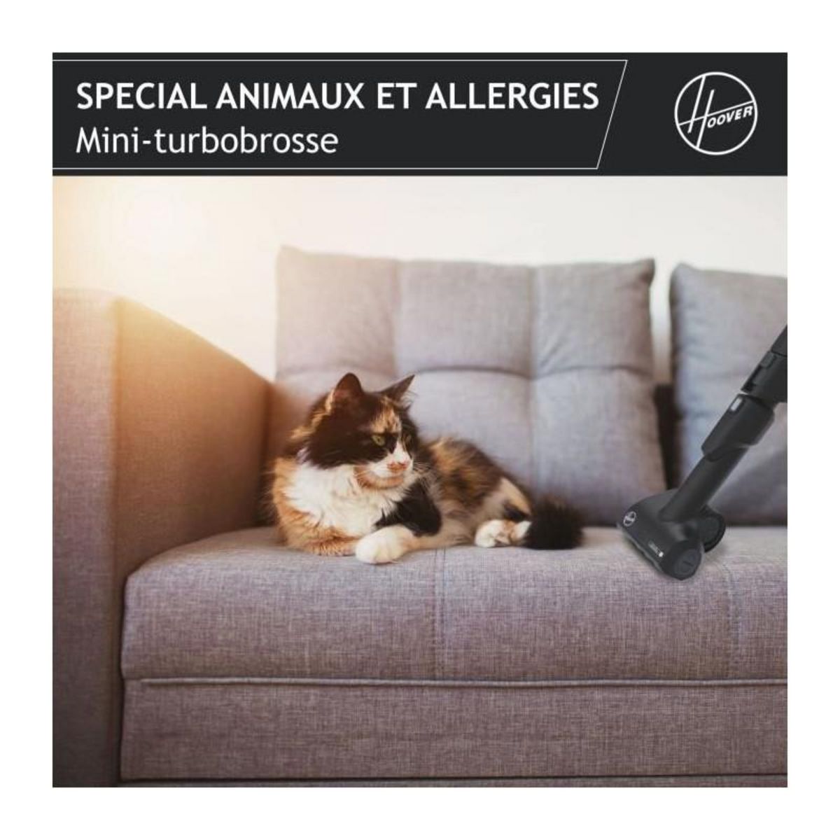 HOOVER HOOVER HE530ALG Aspirateur traîneau avec sac, Puissant 850 W, Silencieux 69db, Grande Capacité 3,5L Special Allergie & Poils A