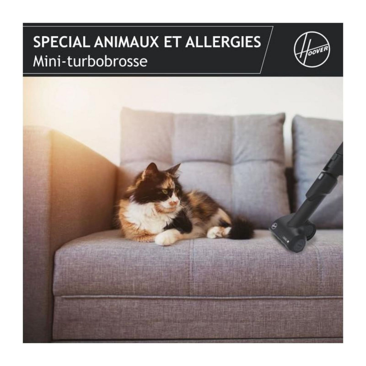 HOOVER HOOVER HE530ALG Aspirateur traîneau avec sac, Puissant 850 W, Silencieux 69db, Grande Capacité 3,5L Special Allergie & Poils A