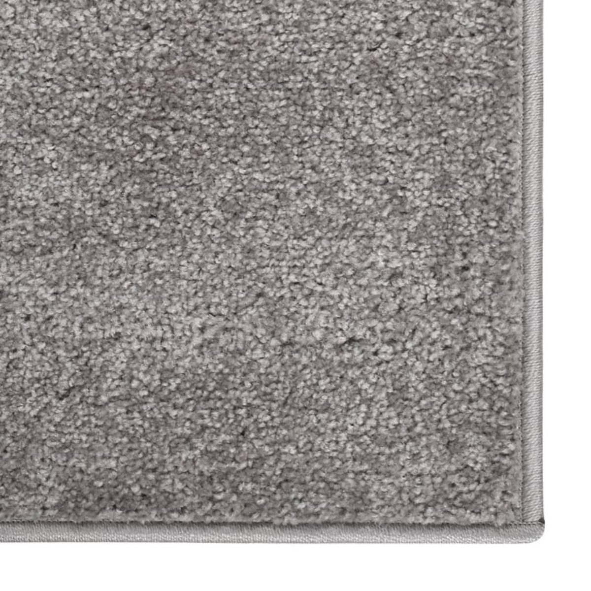 VIDAXL Tapis a poils courts 80x150 cm Gris