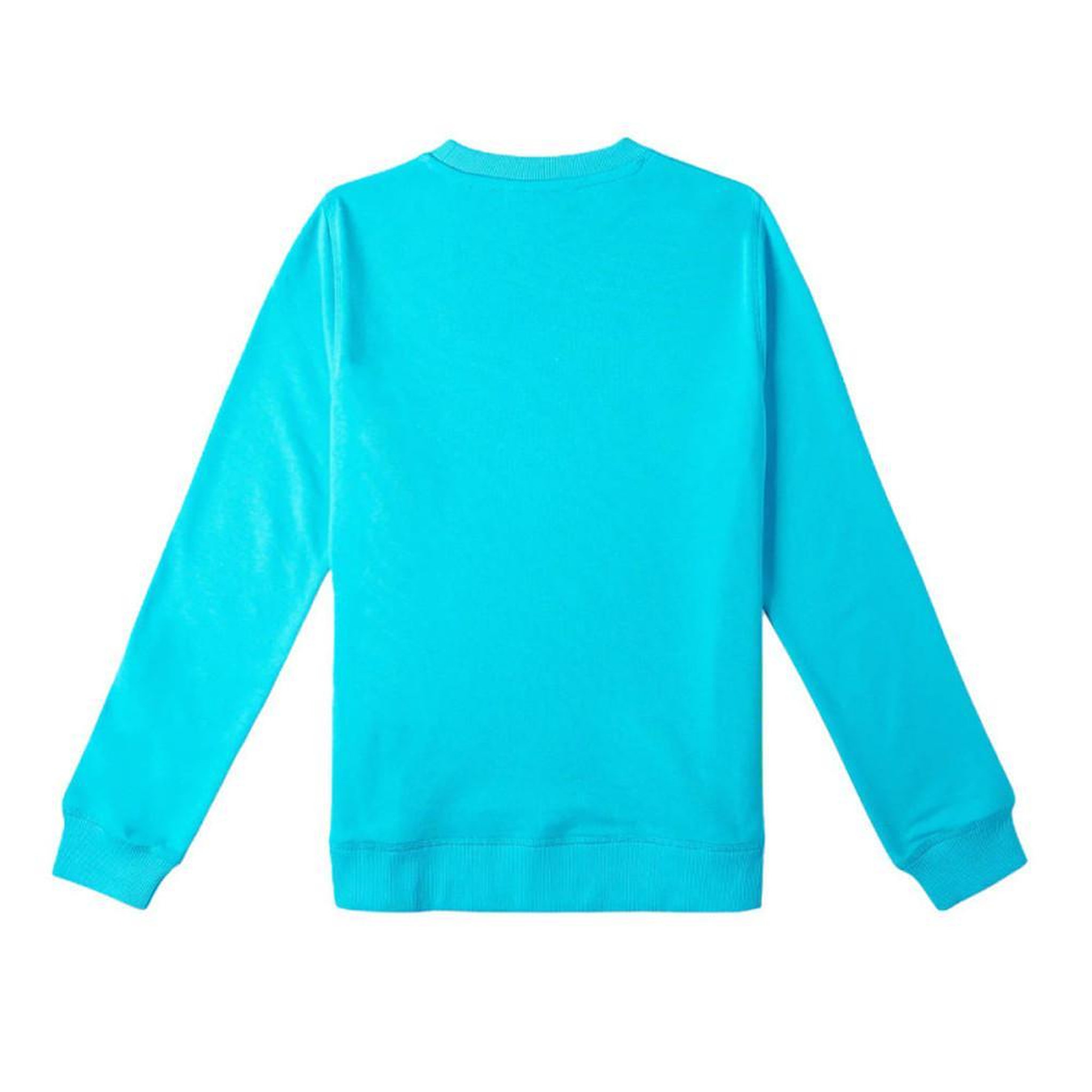 Voir la diapositive 2 : O'NEILL Sweat Turquoise Fille O'Neill Circle Surfer 16