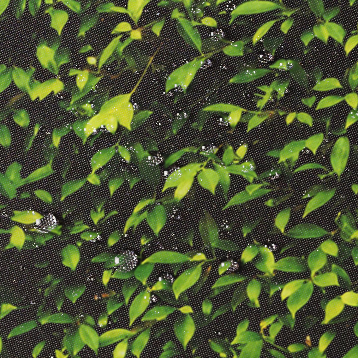 ID MARKET Paravent extérieur rétractable 180 x 400 cm imprimé feuillage store latéral