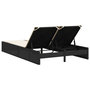 Voir la diapositive 5 : VIDAXL Chaise longue double avec coussins noir resine tressee