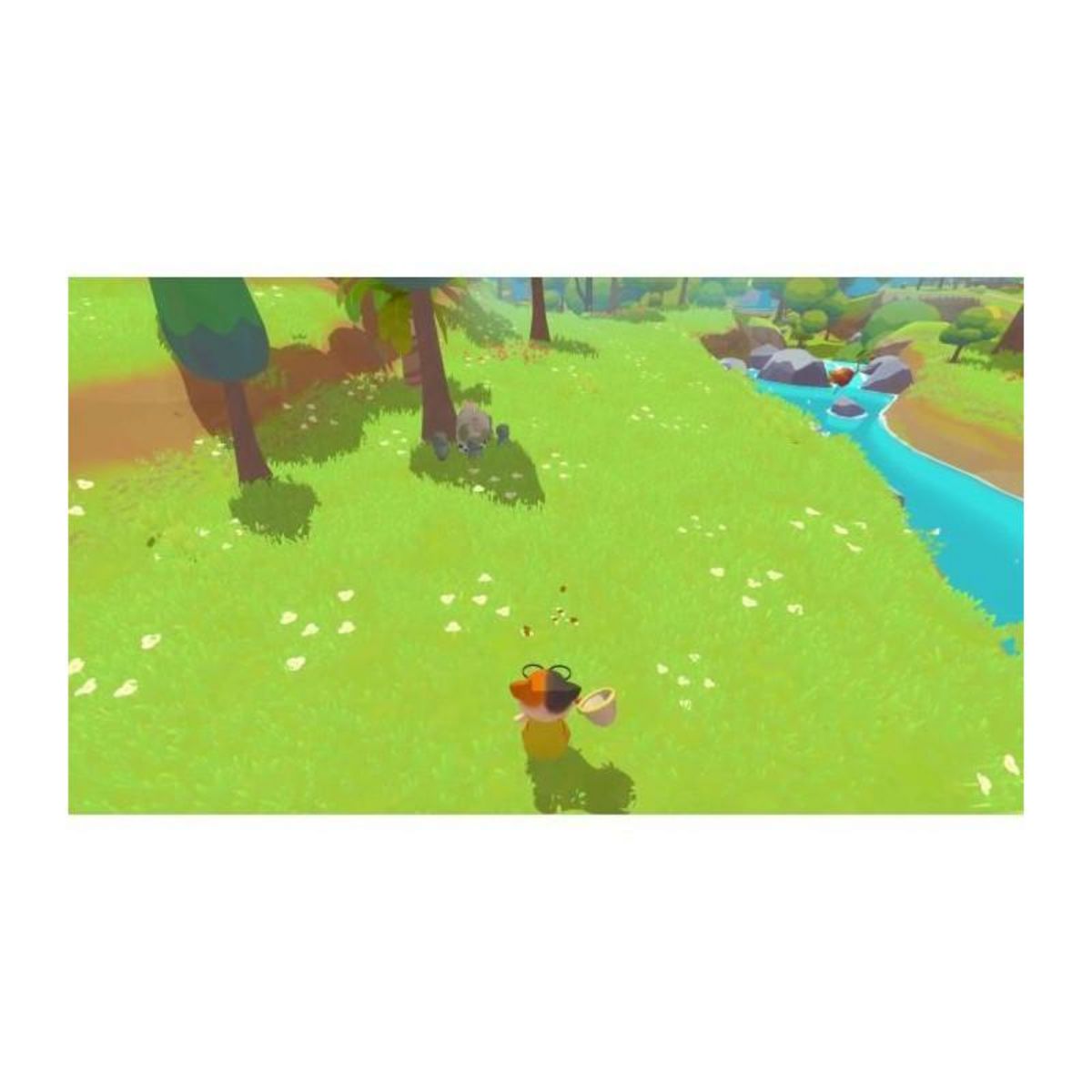 MICROIDS Petit Island - Jeu Nintendo Switch