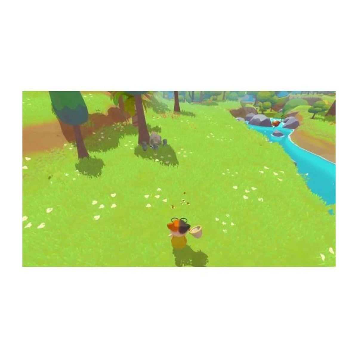 MICROIDS Petit Island - Jeu Nintendo Switch