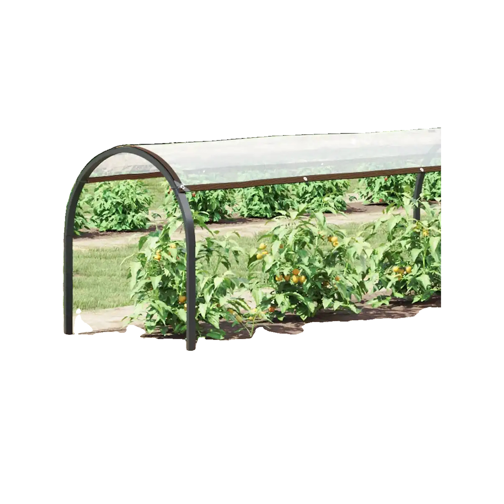 Voir la diapositive 2 : VIDAXL Bâche de protection VidaXL tarpaulin with eyelets 1x6 m étanche
