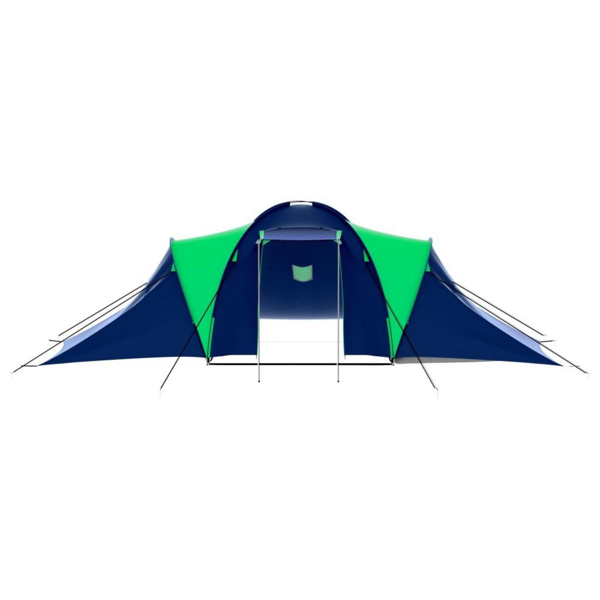 VIDAXL Tente de camping 9 personnes Bleu et Vert
