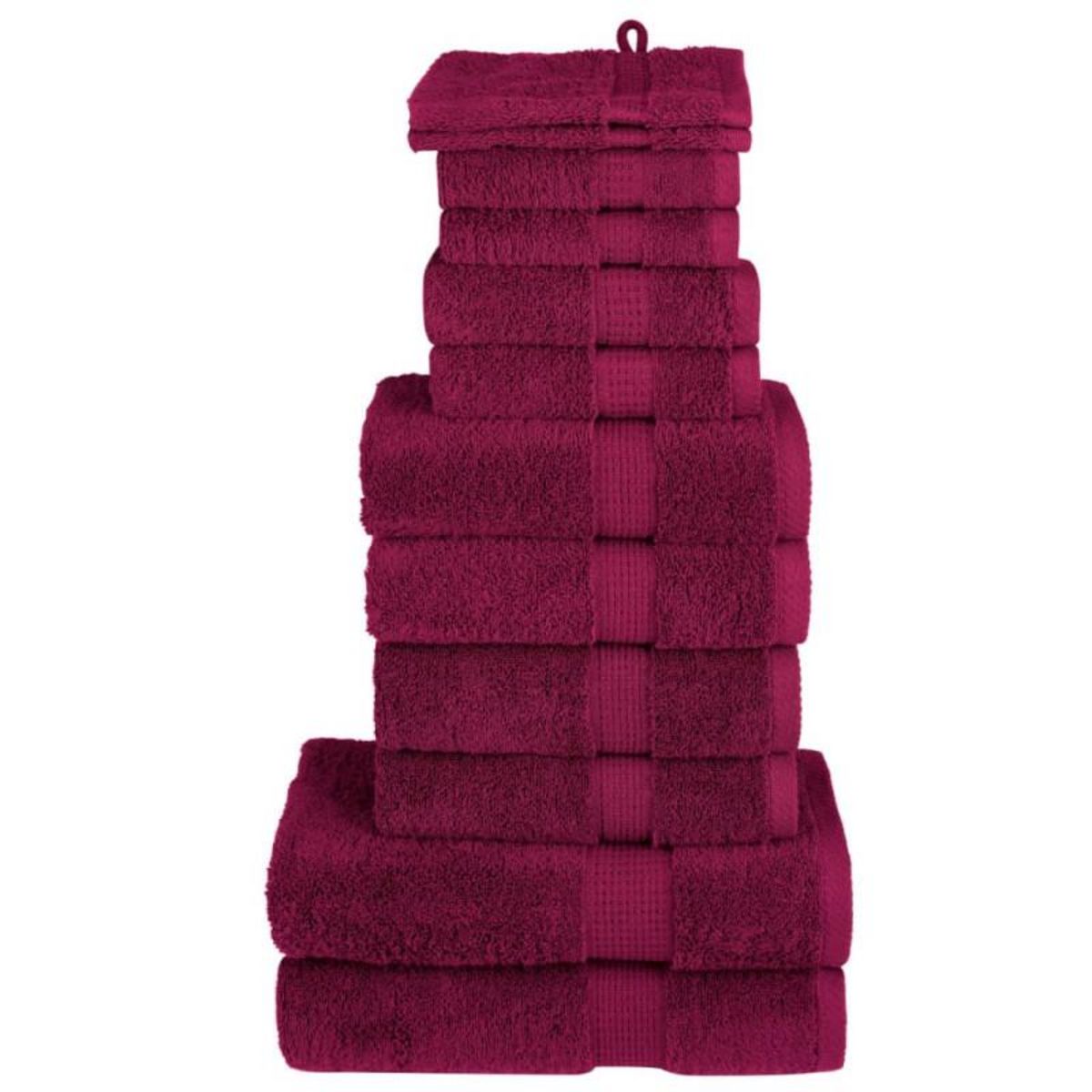 VIDAXL Ensemble de serviettes de qualité supérieure SOLUND 12 pcs