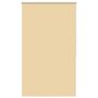 Voir la diapositive 2 : VIDAXL Store roulant 80 x 175 cm Beige
