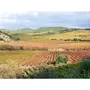 Smartbox Visite d'un vignoble familial en agriculture biologique et dégustation de vins dans le Languedoc - Coffret Cadeau Sport & Aventure