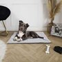 Voir la diapositive 2 : The concept Factory Tapis doux Jazz pour chien et chat - Gris