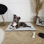 Voir la diapositive 2 : The concept Factory Tapis doux Jazz pour chien et chat - Gris