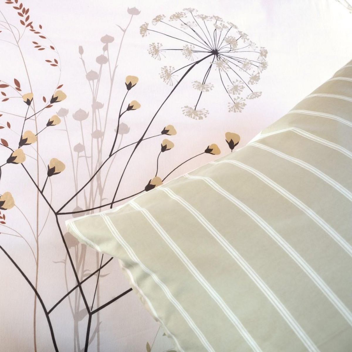 COTE DECO Housse de couette 240x220 + 2 taies SOLIFLORE 100% Coton 57 fils