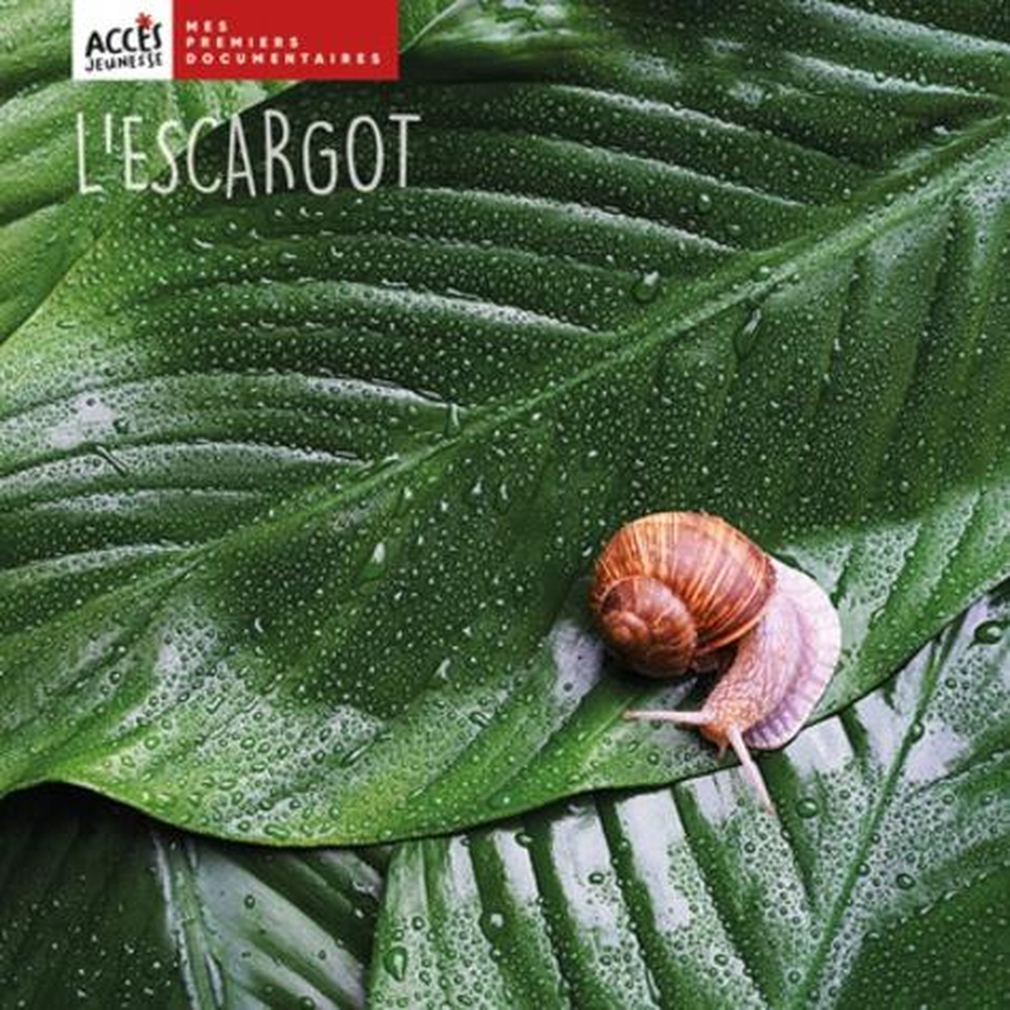L'ESCARGOT, Schneider Léa