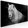 Voir la diapositive 1 : Paris Prix Tableau  Shining Tiger Black & White Narrow