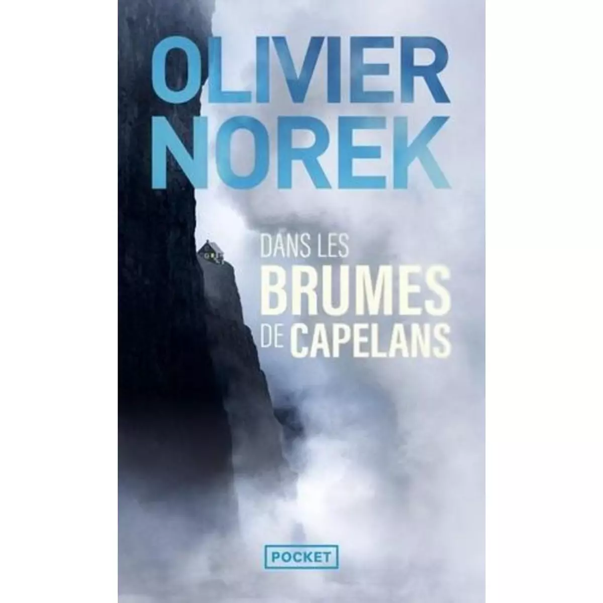  DANS LES BRUMES DE CAPELANS, Norek Olivier